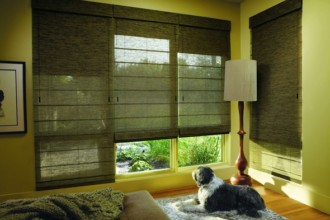 Chicago Hunter Douglas Woven Wood Roman Shade